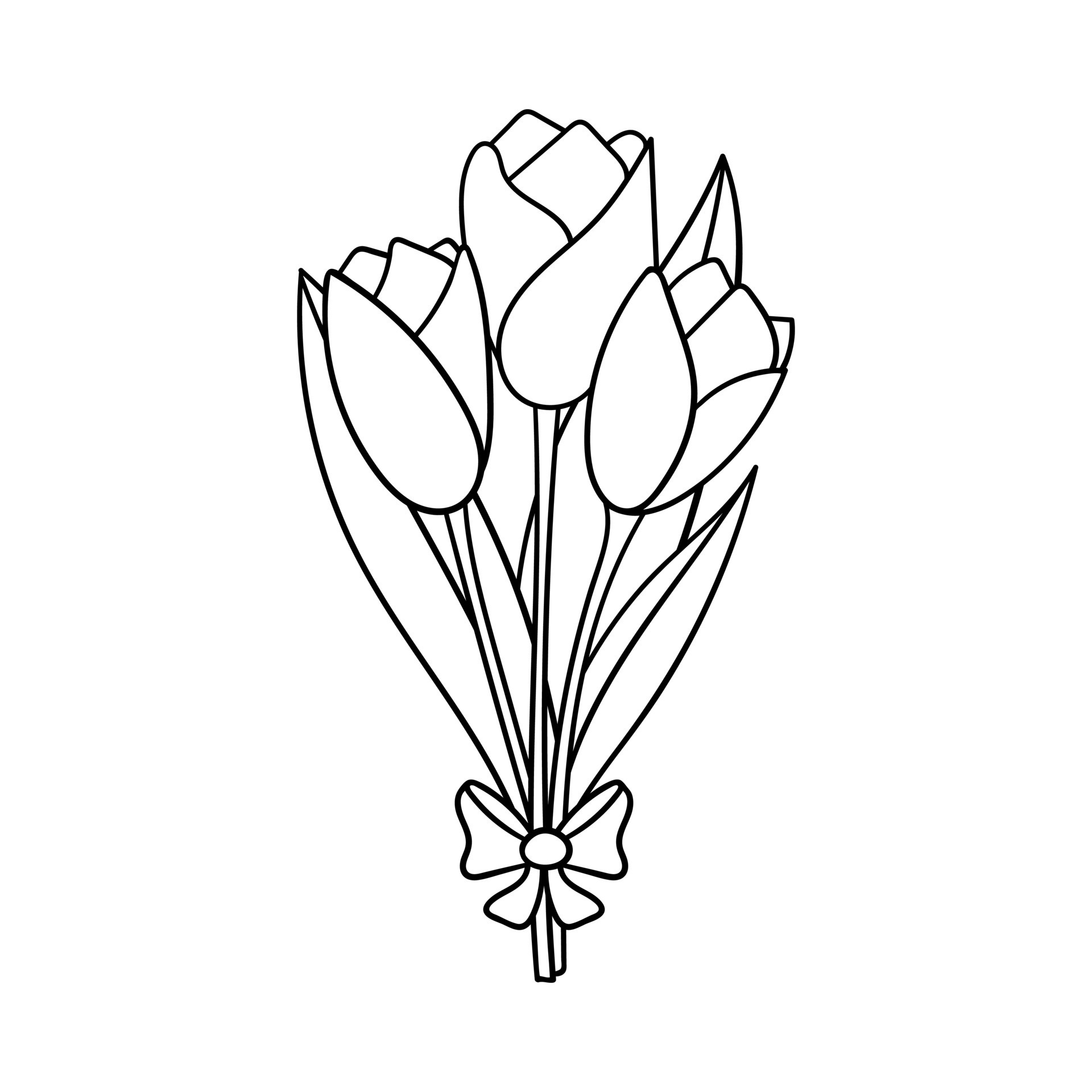 A bouquet of tulips with leaves and a bow. Decorative element for