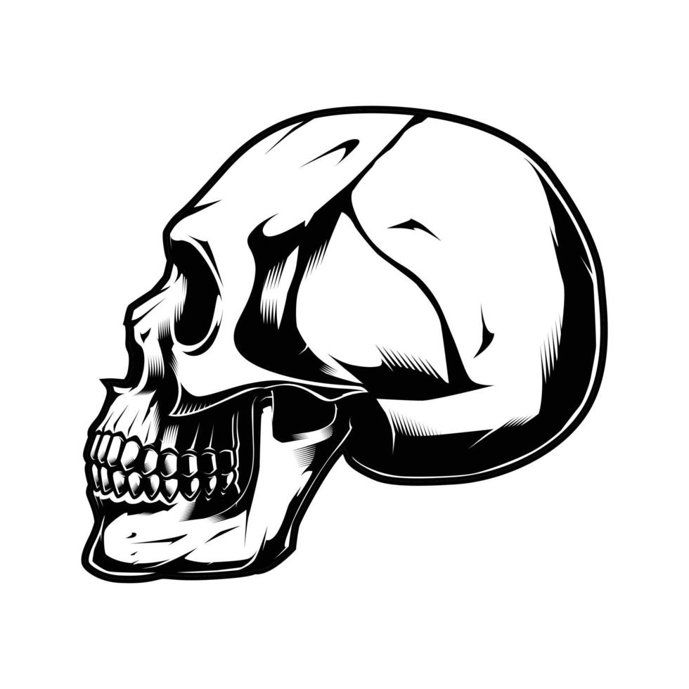 Human Skull Vector Illustration Design