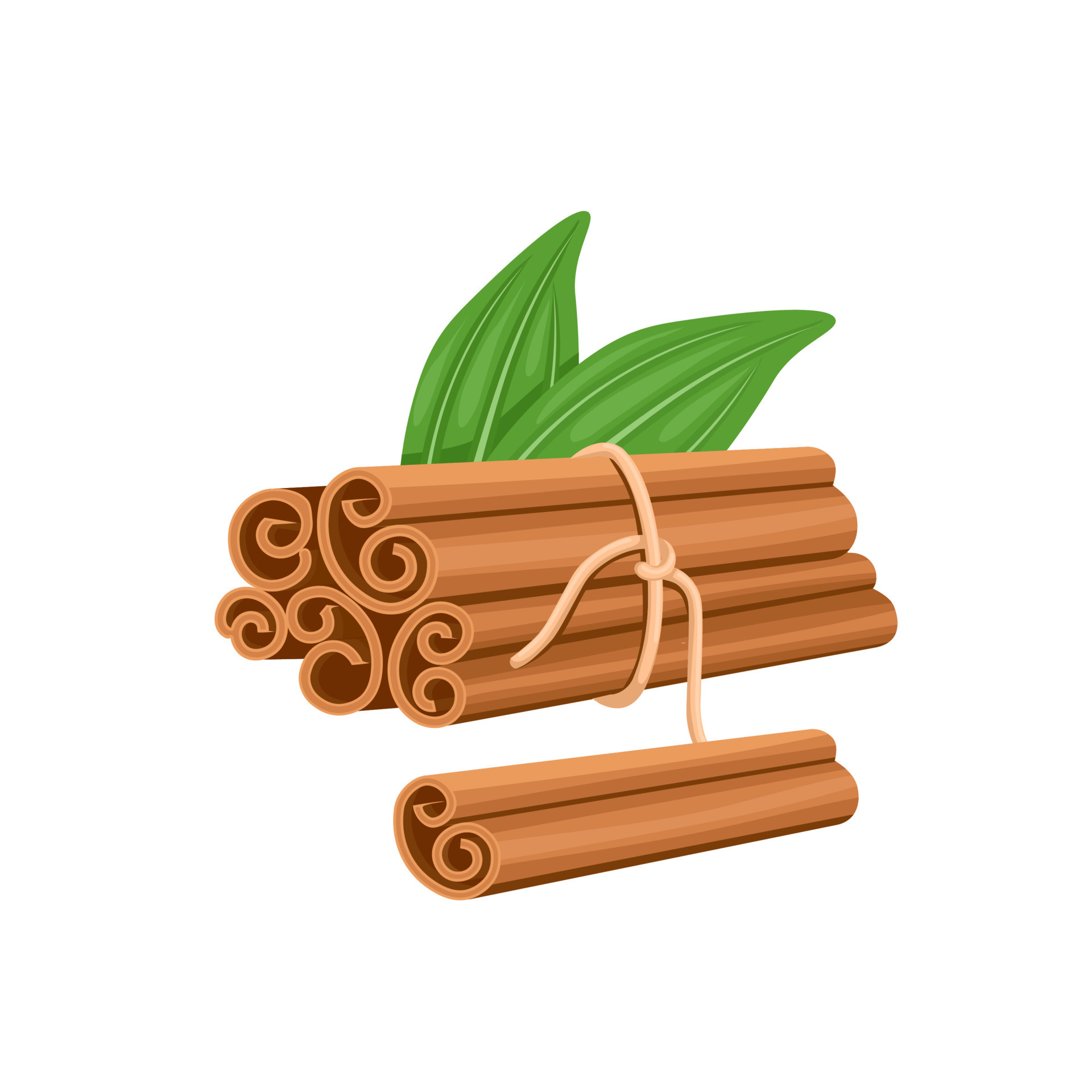 Vector illustration, bunch of cinnamon sticks rolled, with green leaves