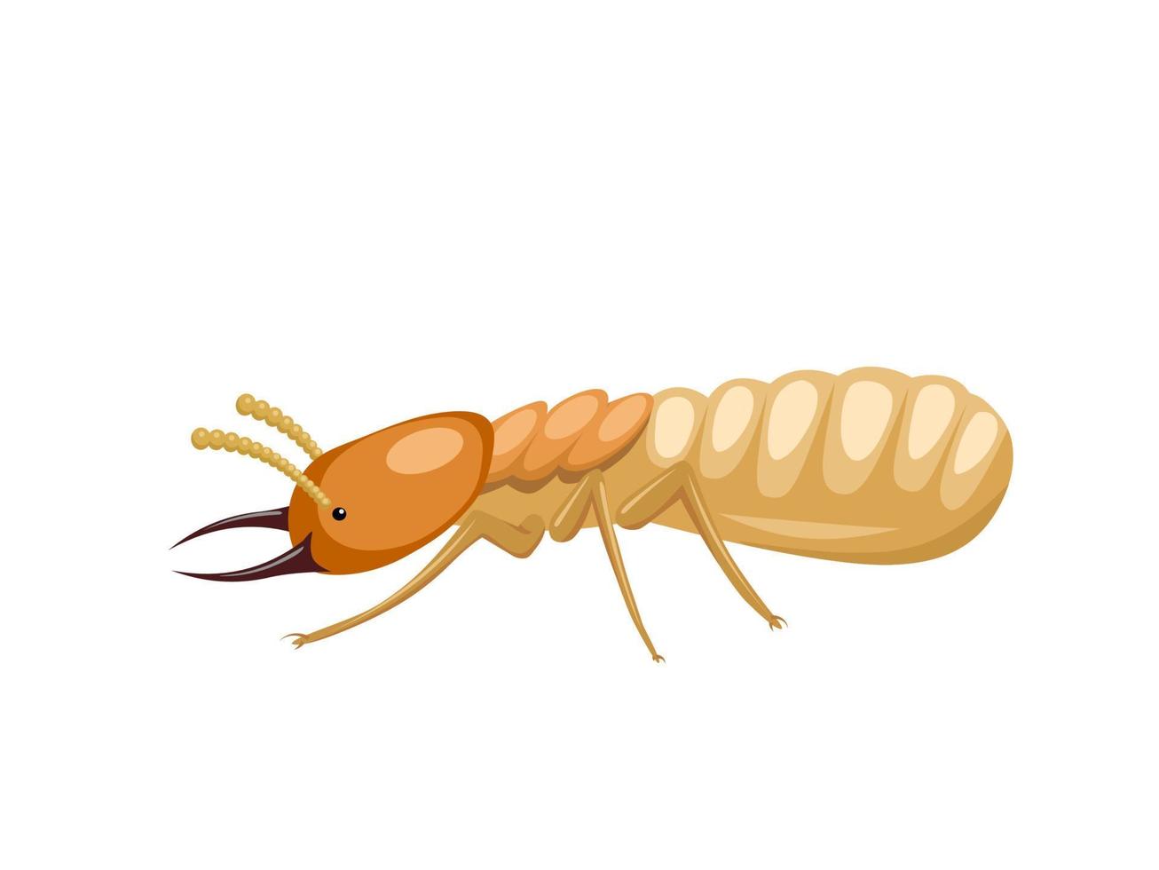 ilustración vectorial, termitas o isópteros, aislado sobre fondo blanco. vector