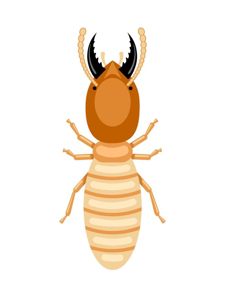 Vector illustration, termites or Isoptera, isolated on white background.