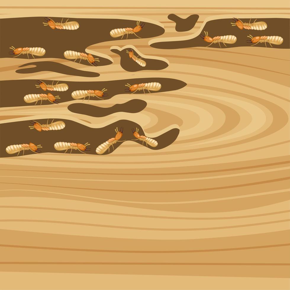 Vector illustration, wooden furniture eaten by termites, scientific name Isoptera.