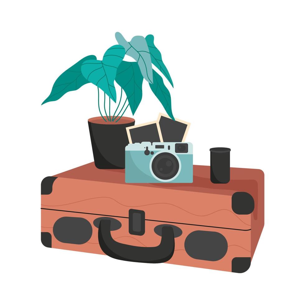 Suitcase with a camera and a flower pot. Retro style. The concept of Travel, vacation, Retro accessories. Vector illustration.