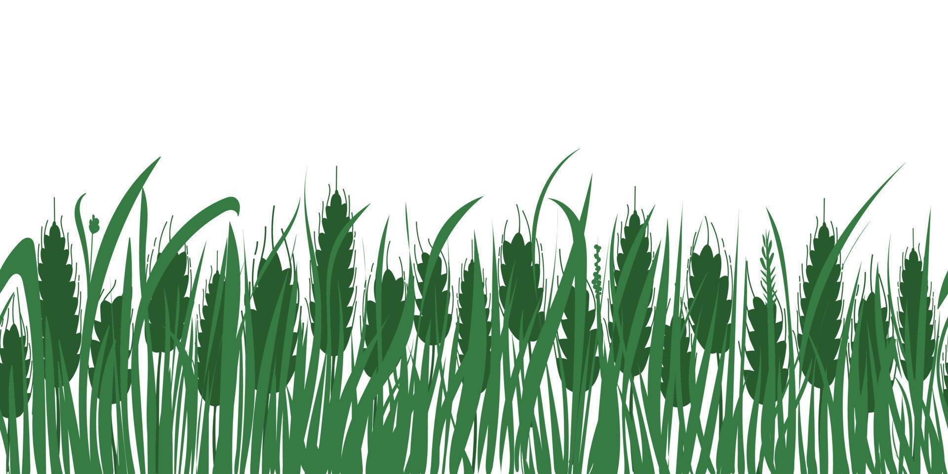 Wheat and grass field. Horizontal repeat endless border. Spikelet silhouettes on white background. Vector isolated illustration for farm, bakery