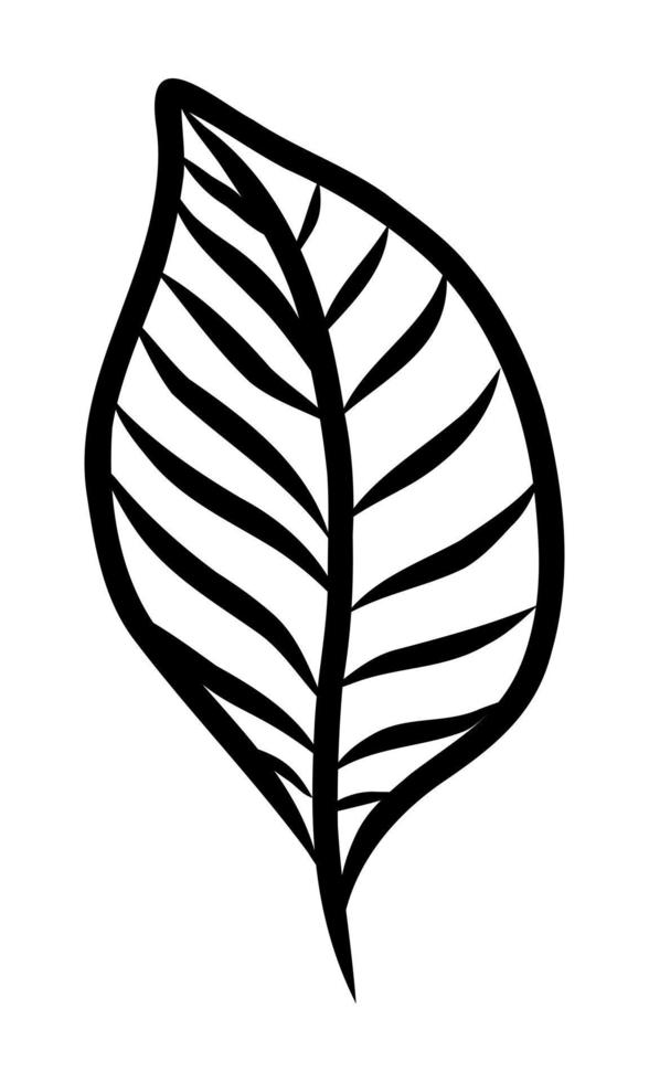 ISOLATED ON A WHITE BACKGROUND CONTOUR DRAWING OF A PLANT LEAF vector