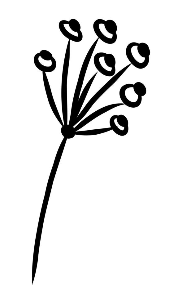 ISOLATED ON A WHITE BACKGROUND CONTOUR DRAWING OF A TWIG WITH BERRIES vector