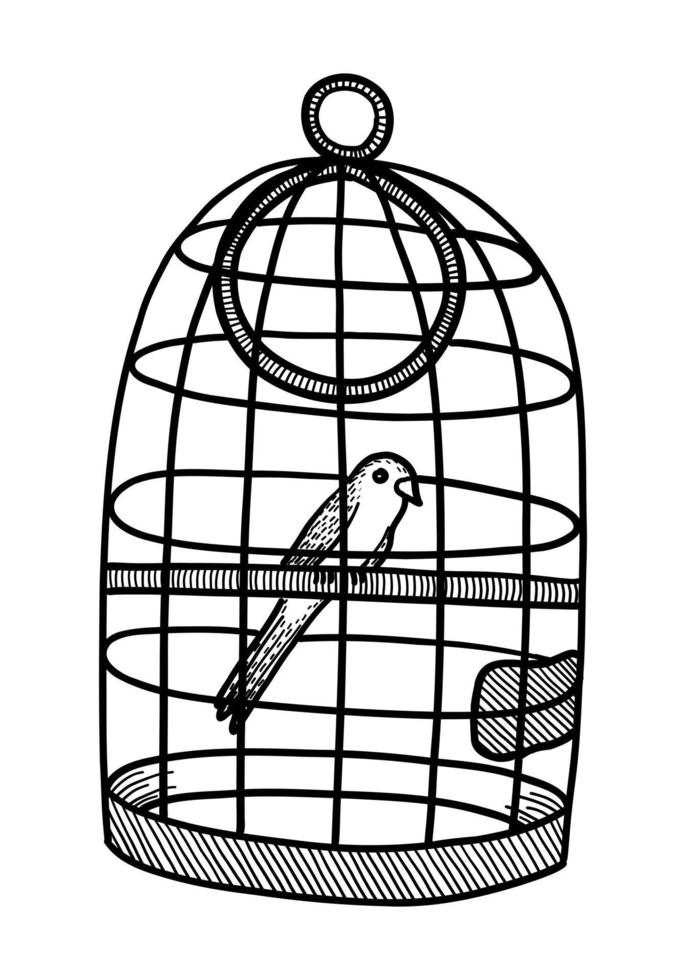 VECTOR ILLUSTRATION OF A BIRD IN A CAGE ISOLATED ON A WHITE BACKGROUND. DOODLE DRAWING BY HAND