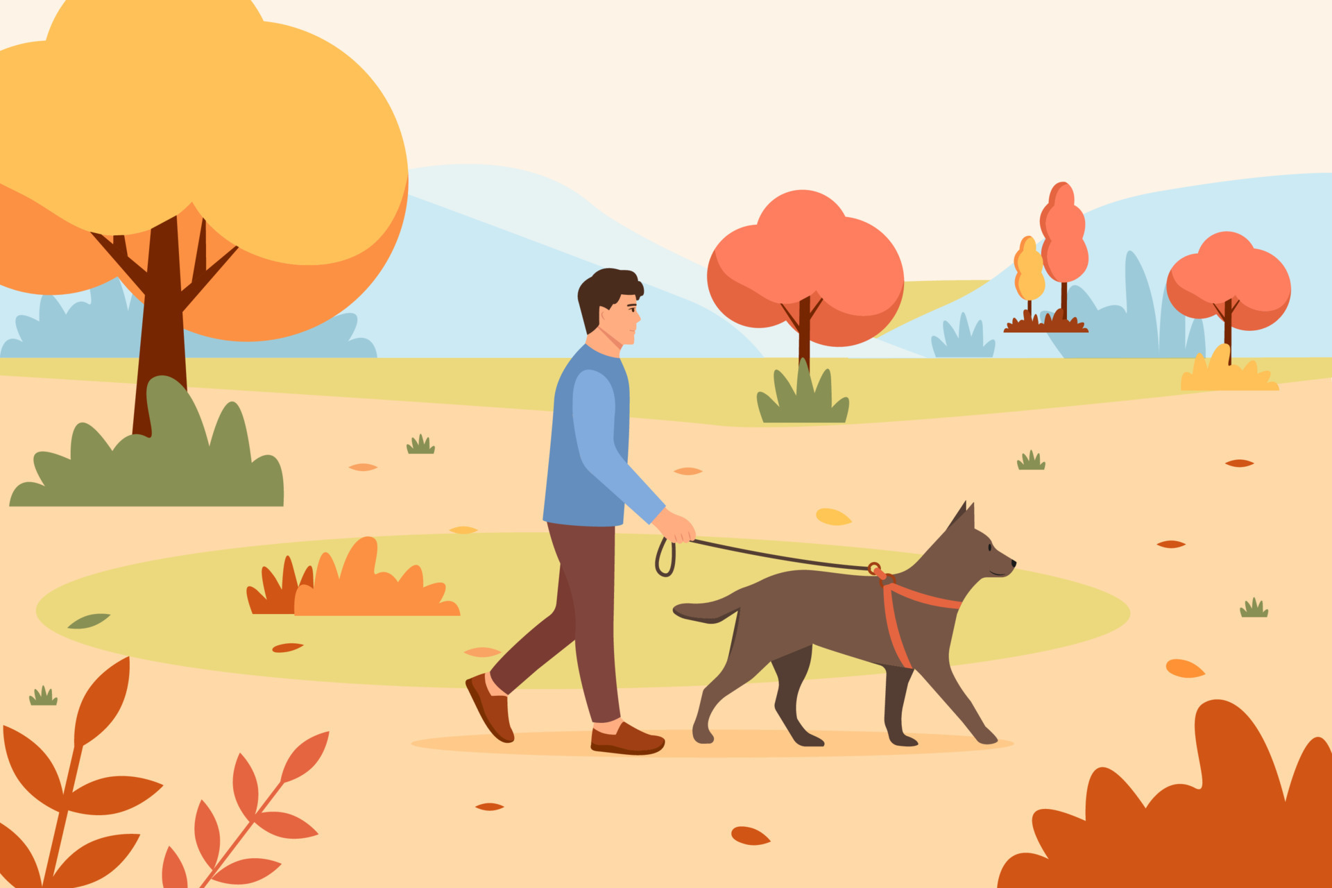 Man walking dog in autumn park. Pet care. Autumn illustration in flat style. 8557965 Vector Art at Vecteezy Man walking dog in autumn park. Pet care. Autumn illustration in flat style. 8557965 Vector Art at Vecteezy