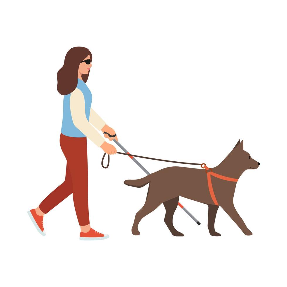 Blind woman with cane and guide dog.Disabled female with blindness.Walking with Seeing Eye dog. Vector illustration isolated on white background.