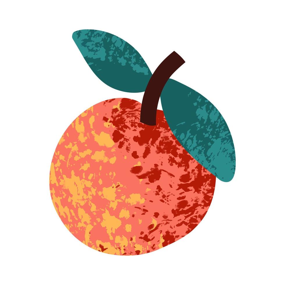 Peach on a white background. Vector illustration