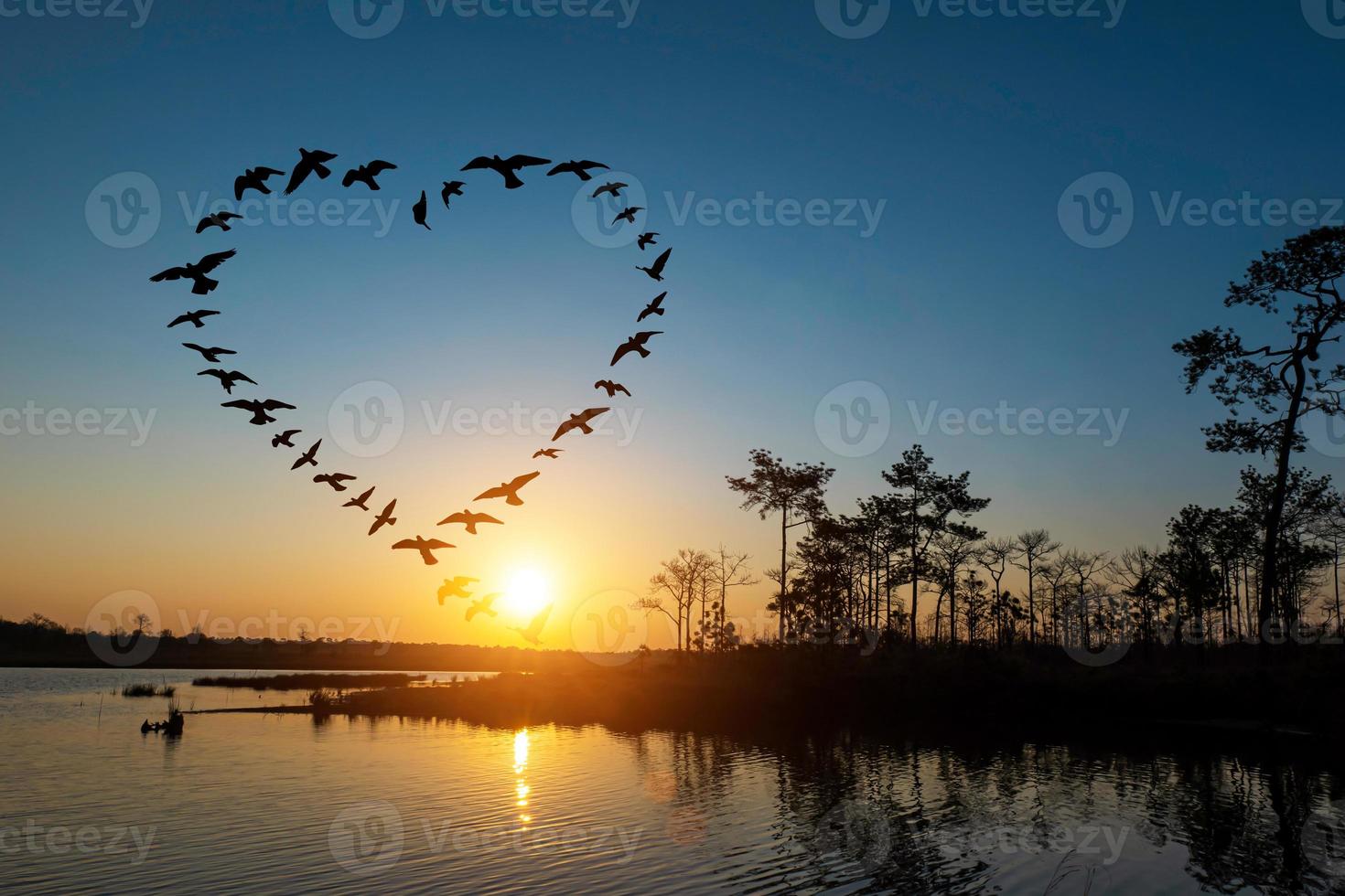 Silhouette of flying flock birds in shape heart over sunrise at coast of the lake. photo