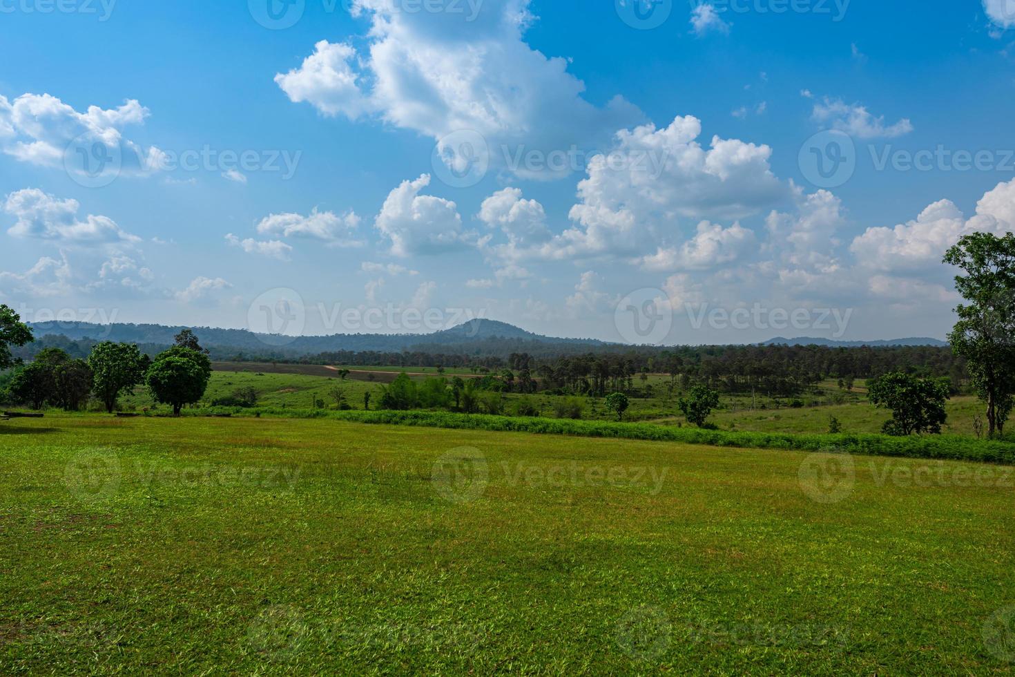 Green grass field and blue sky clouds background. Countryside landscape. photo