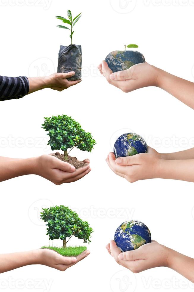 colección de manos que sostienen la tierra del globo y plántulas en crecimiento aisladas en fondo blanco con camino de recorte. elementos de esta imagen proporcionados por la nasa foto