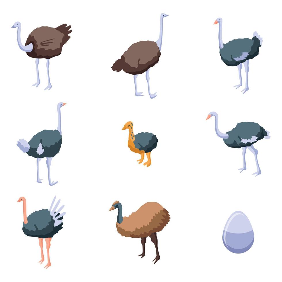 conjunto de iconos de avestruz, estilo isométrico vector