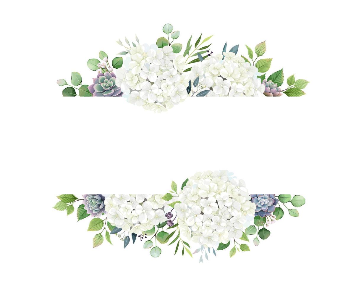 Greenery, White Hydrangea and succulent frame border on white background. Beautiful template for invite or greeting card, banner. All elements are isolated and editable vector