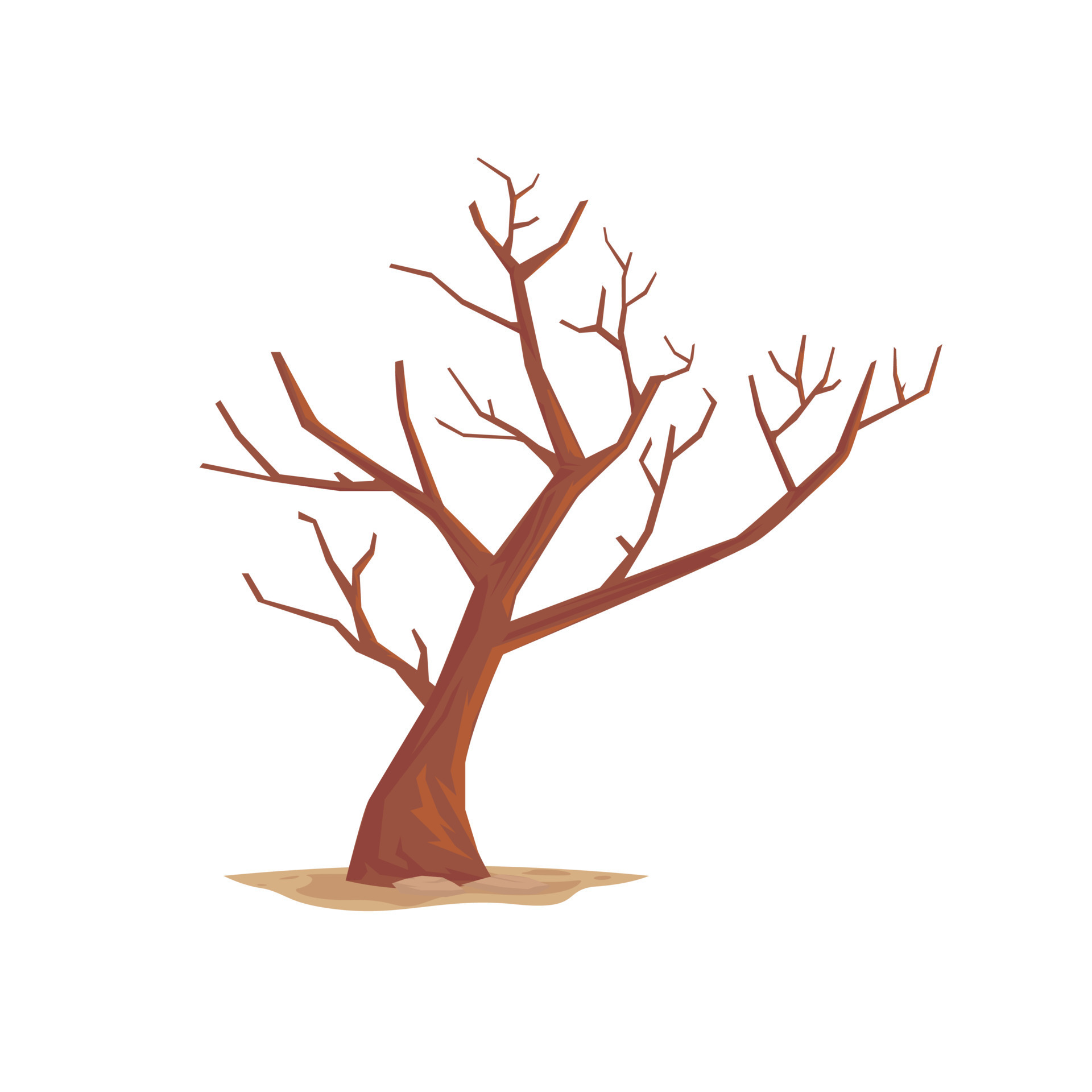 Leafless dry tree, vector illustration isolated on white background 8561476  Vector Art at Vecteezy