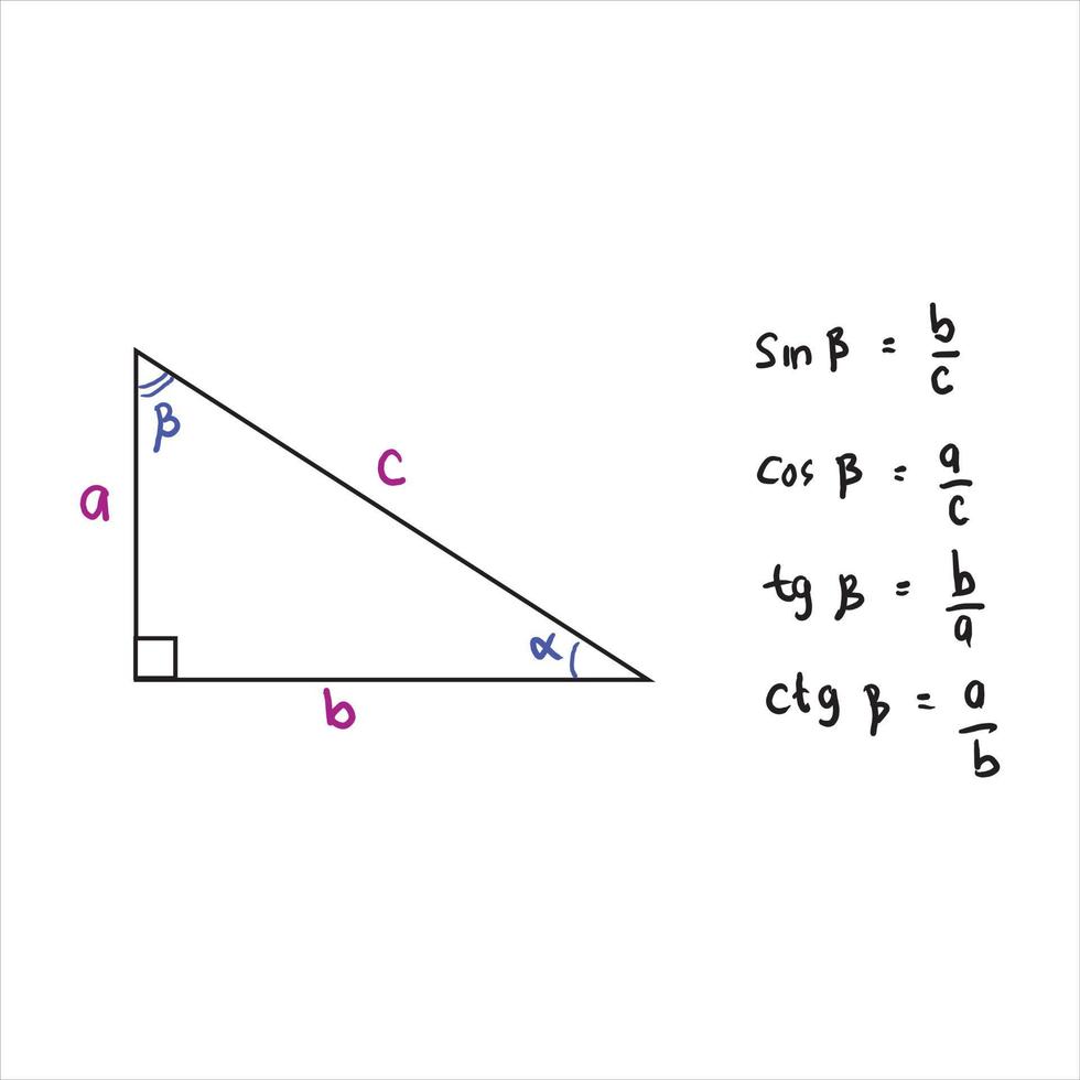 Basic trigonometric identities. The formula for calculating sine B, cosine B, tangent B, cotangent B. Right-angled triangle. Education, school programs. Higher mathematics. Handwritten math text. vector