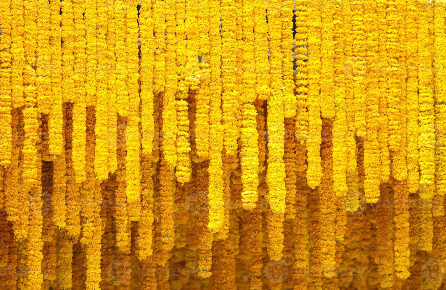 Yellow marigold flower background.Shallow DOF. photo