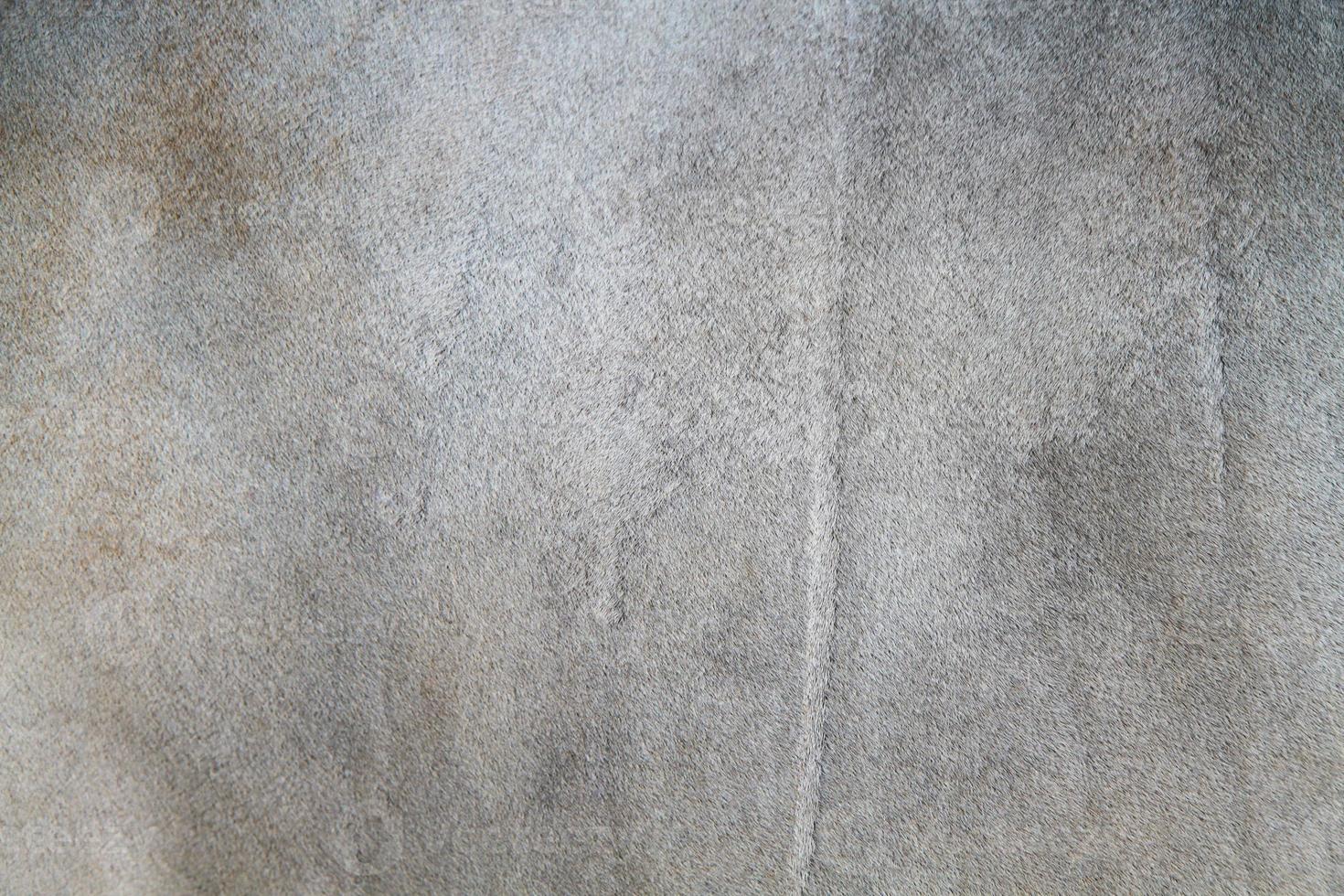 Cow skin texture or background photo