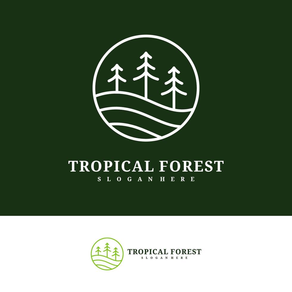 Pine Tree logo design vector template, Tropical forest logo concepts illustration.