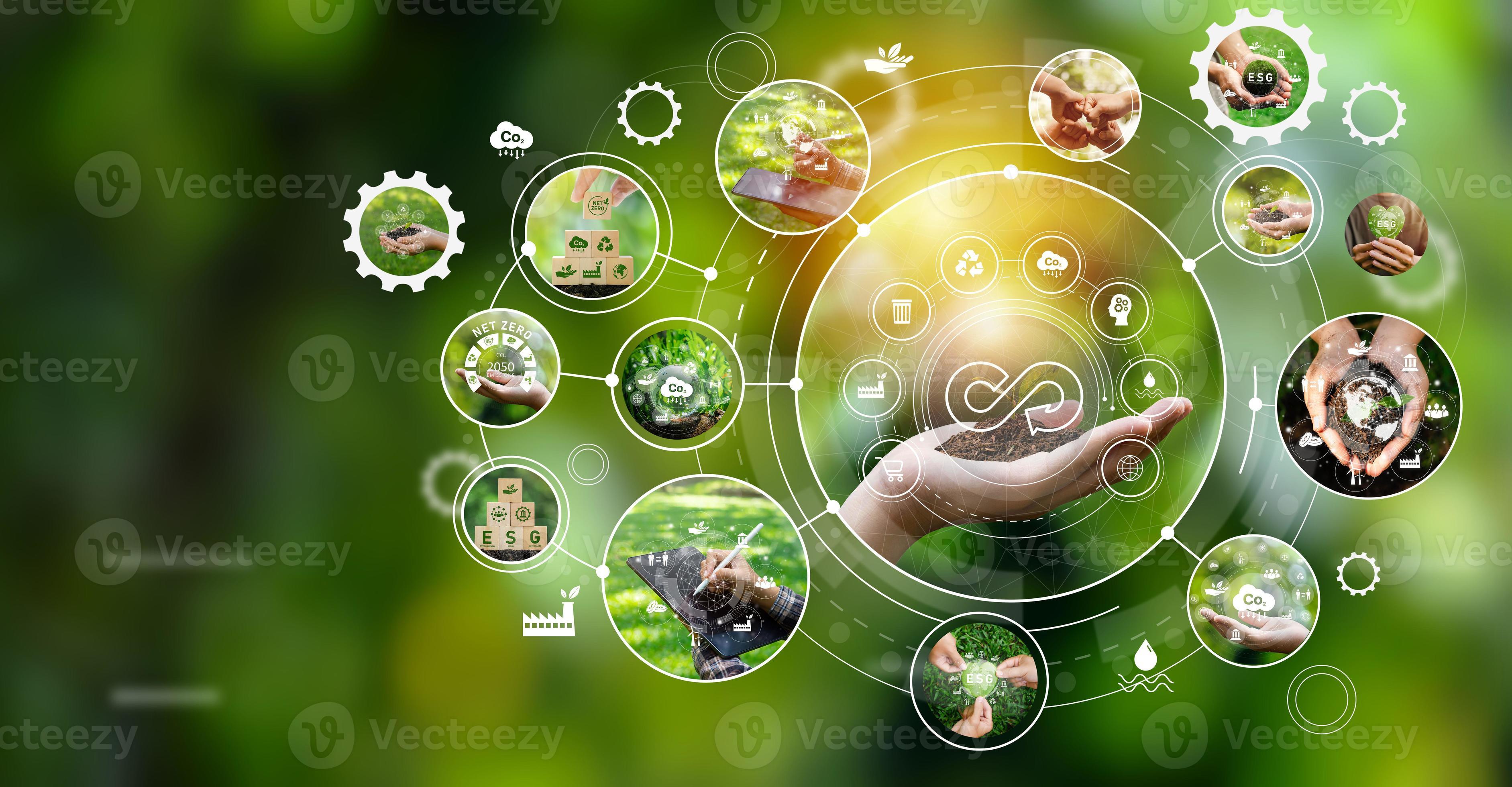 sustainable environmental energy green business goals Sustainable