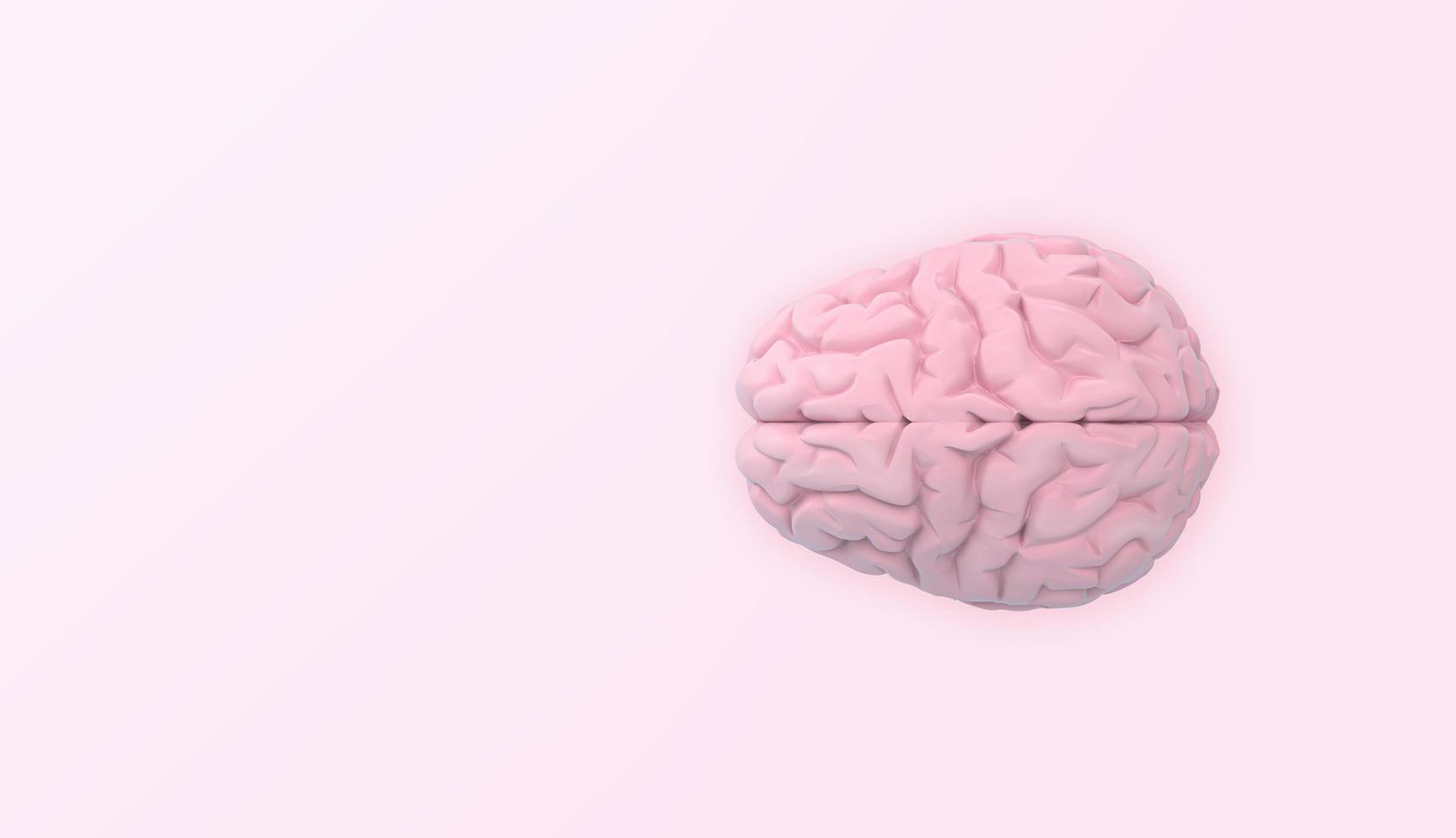 Brain in top view on pink background. 3d rendering. photo