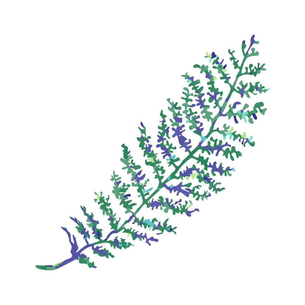 Ilustración colorida vectorial de hierba de boceto gris aislada en fondo blanco vector