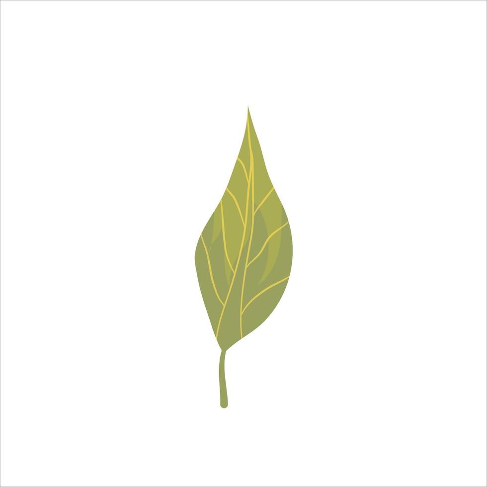 ilustración aislada plana de hoja verde. follaje de jardín o bosque, de un árbol decoración orgánica ecológica. vegetación natural de verano. ilustración vectorial rama floral. color verde vector