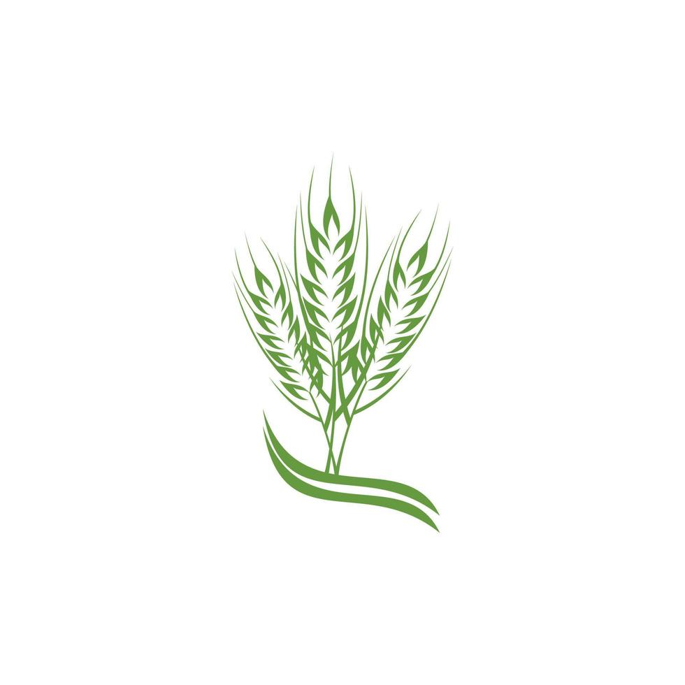 green wheat plant logo design thriving vector