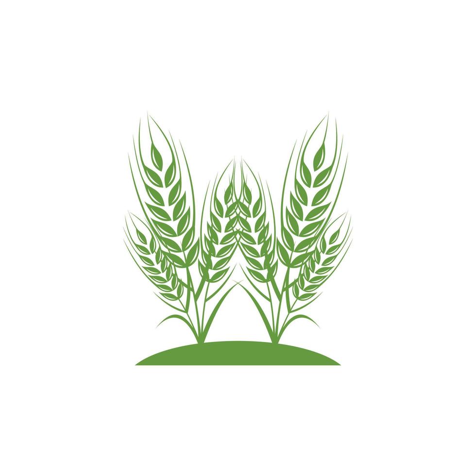 thriving wheat vector logo design