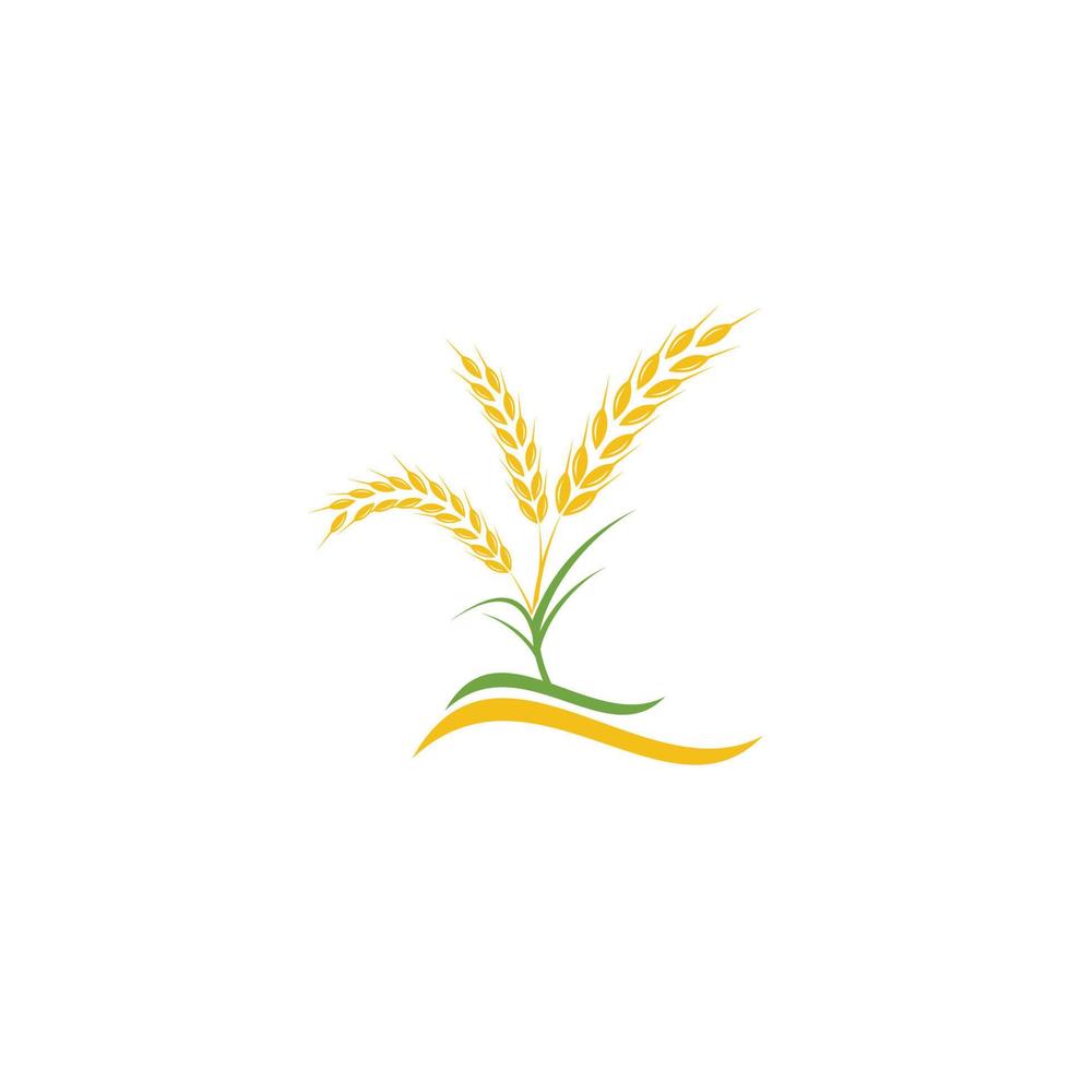 logotipo de diseño de trigo amarillo con hojas verdes vector