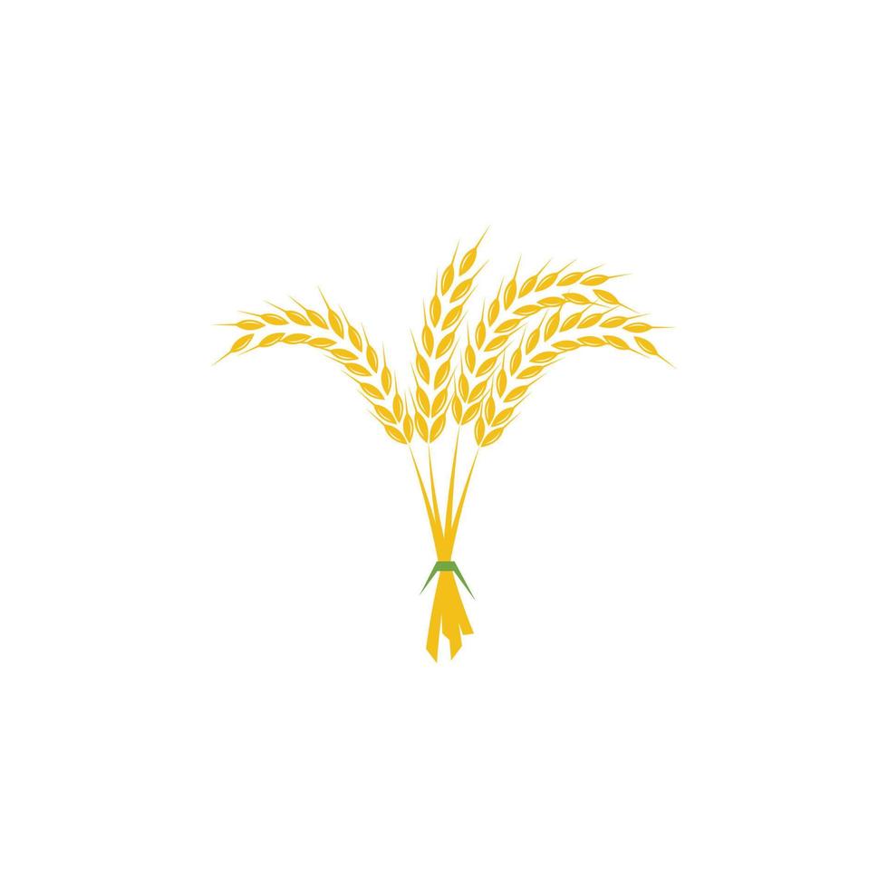wheat logo design tied in yellow vector