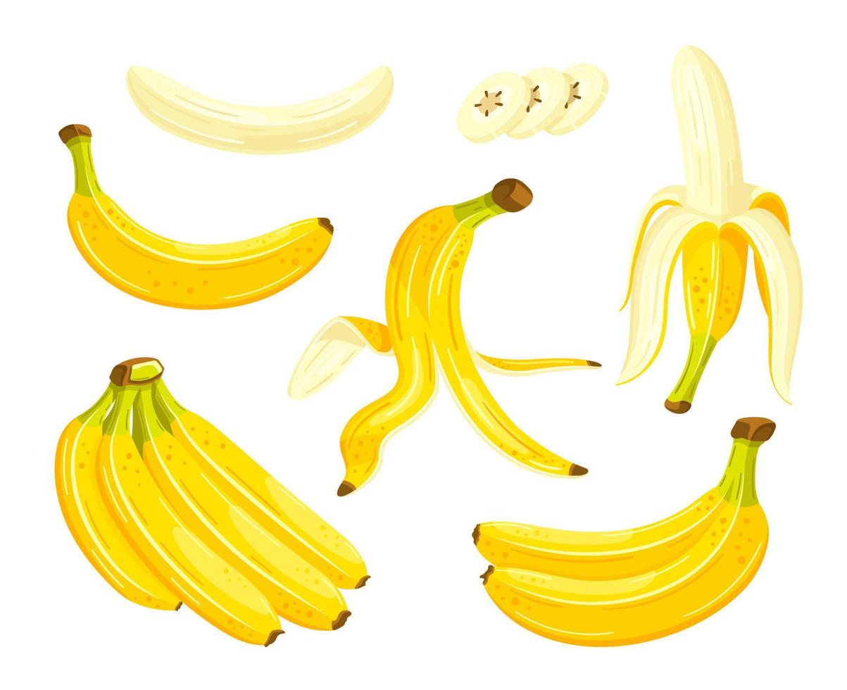Yellow bananas isolated on a white background vector