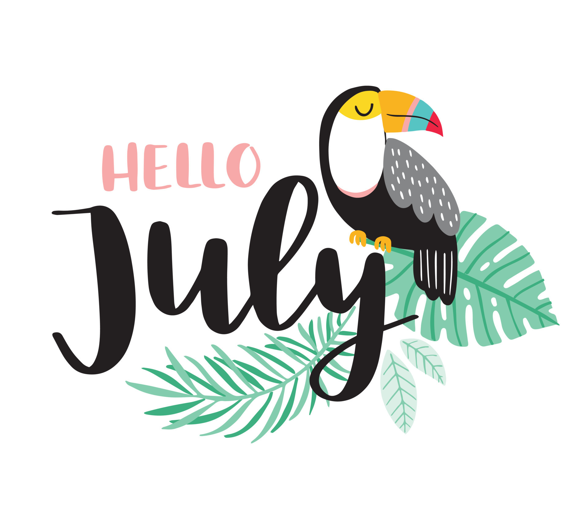 Hello July script brush lettering with toucan. Handwritten modern