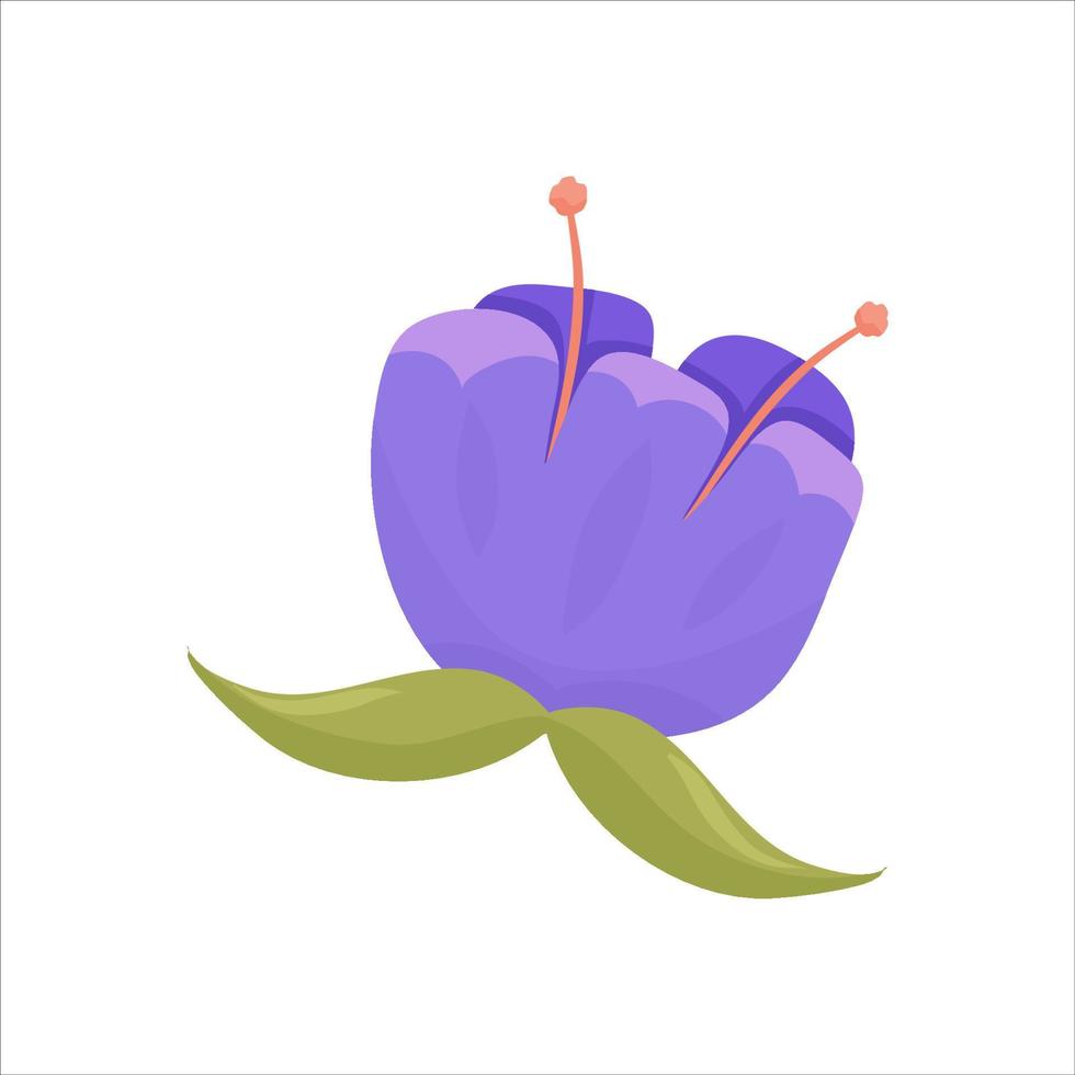 flor moderna aislada, gran diseño para cualquier propósito. diseño de ilustración vectorial flor rosa aislado sobre fondo blanco. primavera, jardín de verano vector