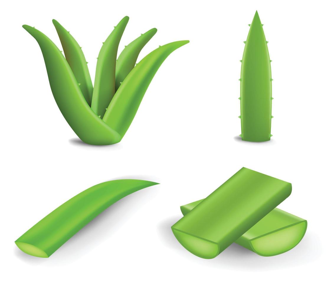 conjunto de iconos de aloe, estilo realista vector