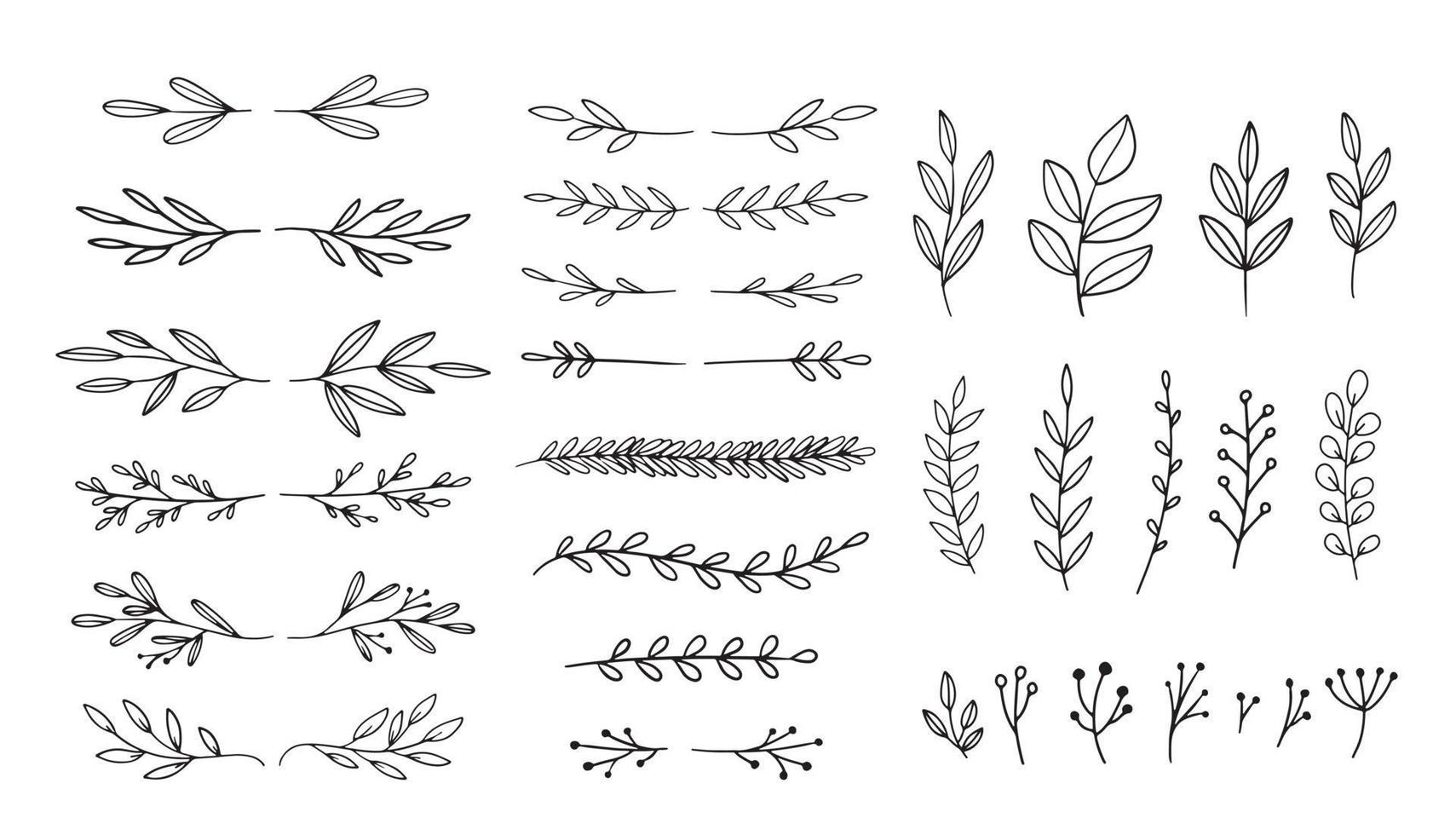 divisores vectoriales y laureles. elementos de diseño botánico dibujados a mano. bordes, ramas, hojas aisladas. vector