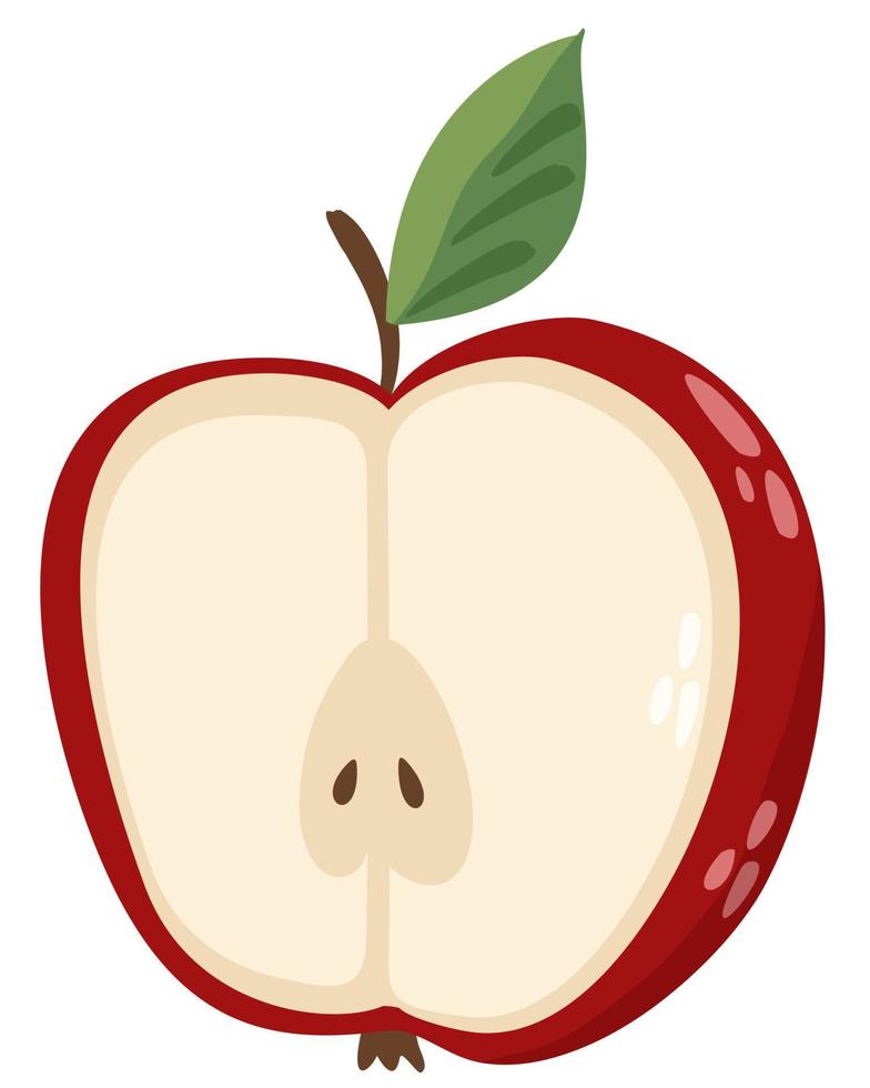 Vector isolated illustration of half of red apple.