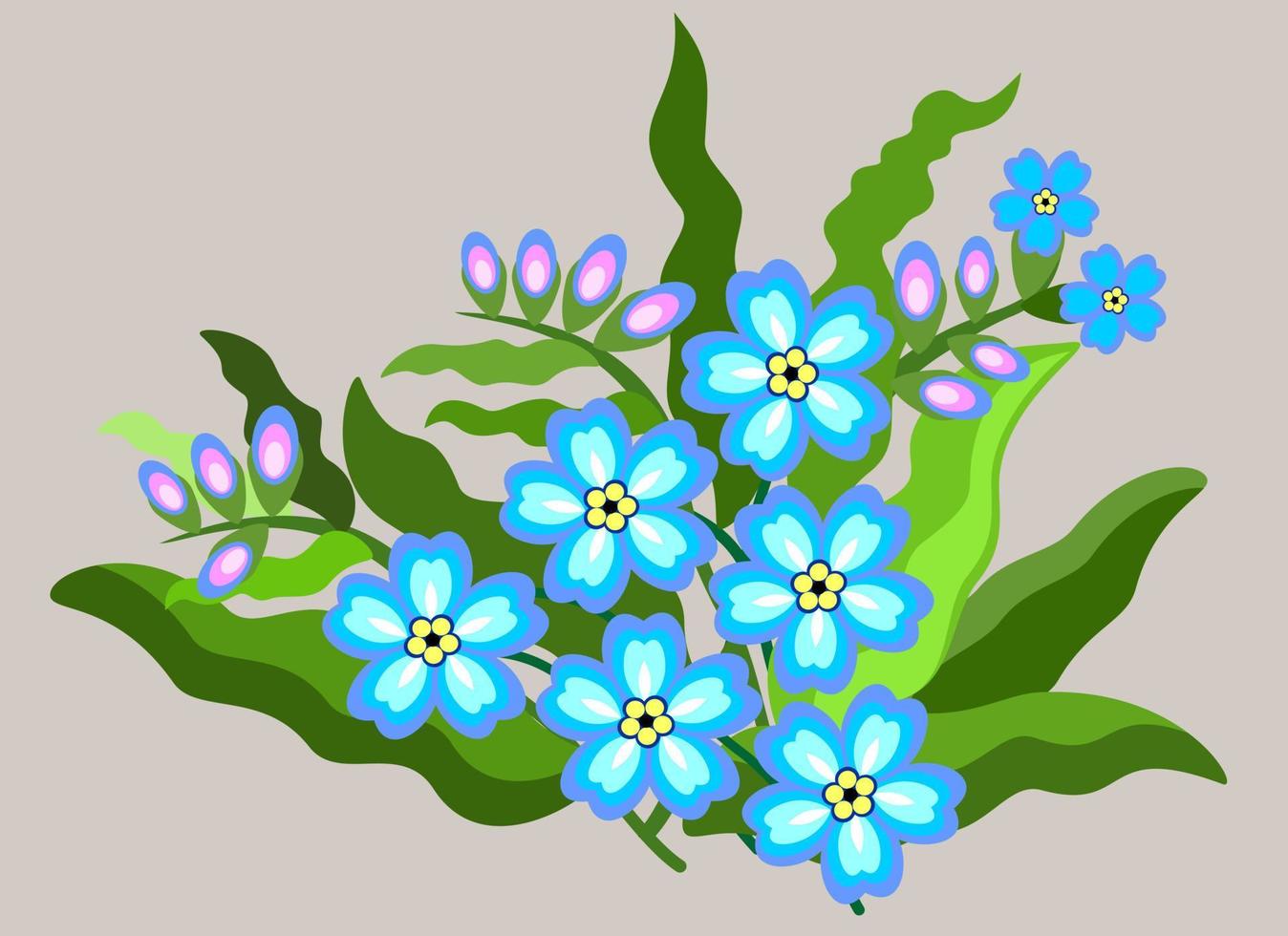 Vector illustration of orget-me-not