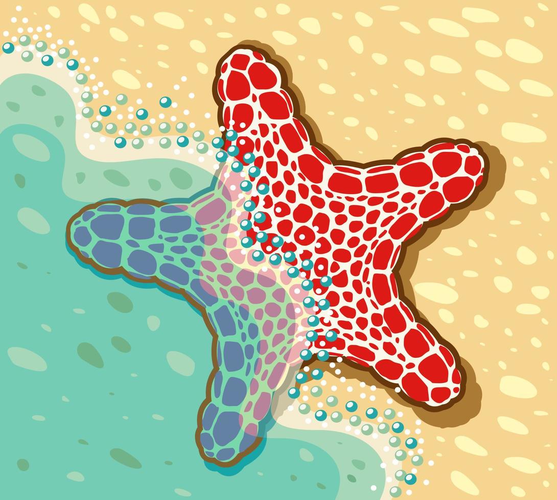 Vector illustration of sea star lying near the sea on the seashore