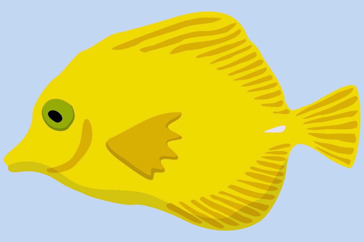 Vector illustration of yellow marine exotic fish.