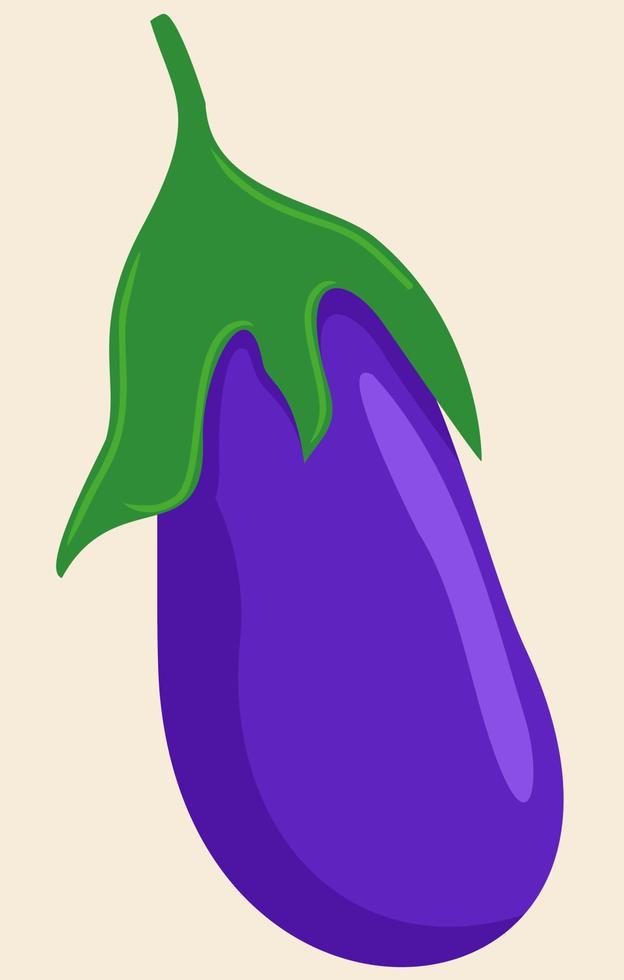 Vector illustration of eggplant. Bright vegetable. Violet and green.