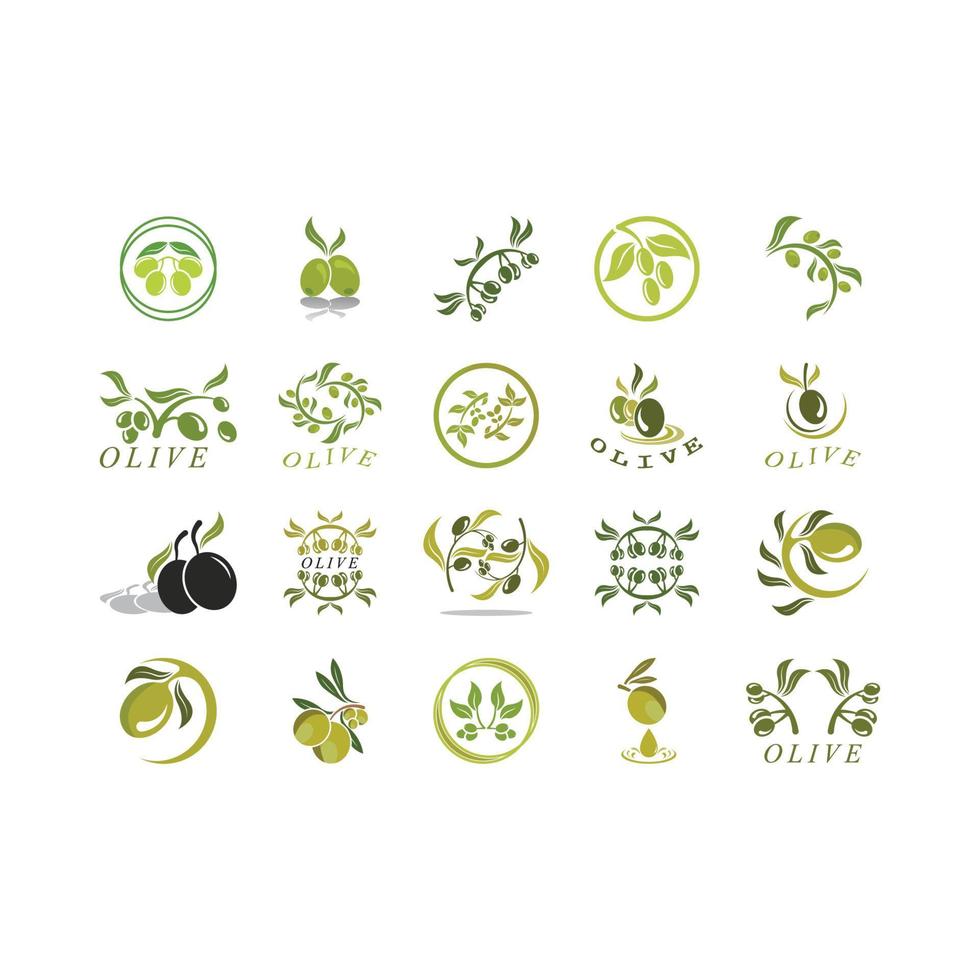 olive icon vector illustration