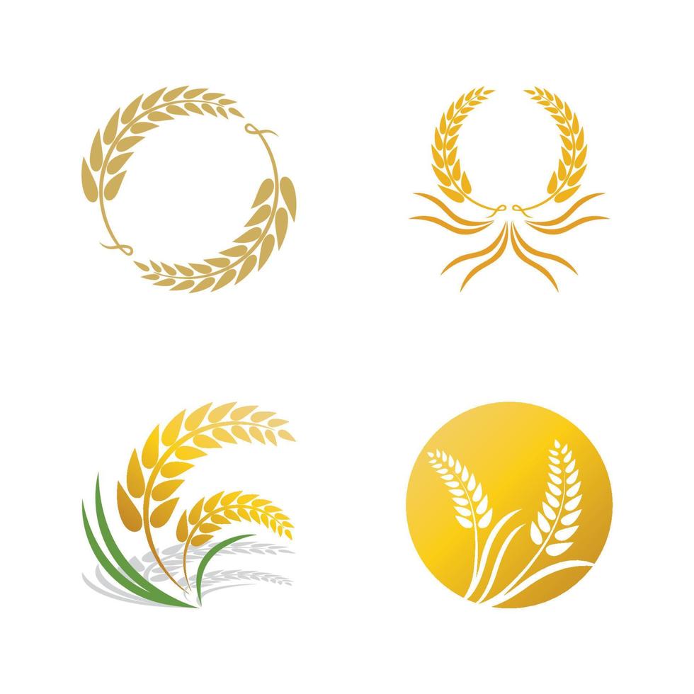 Wheat logo vector icon illustration