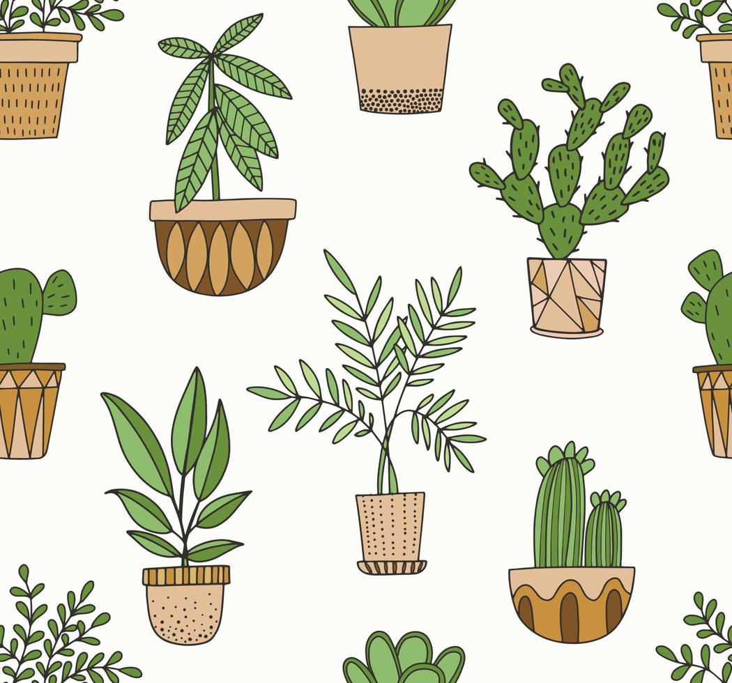 Plants in pots vector pattern in doodle  style. Succulents, cacti and other house plants in geometric pots. Seamless background.