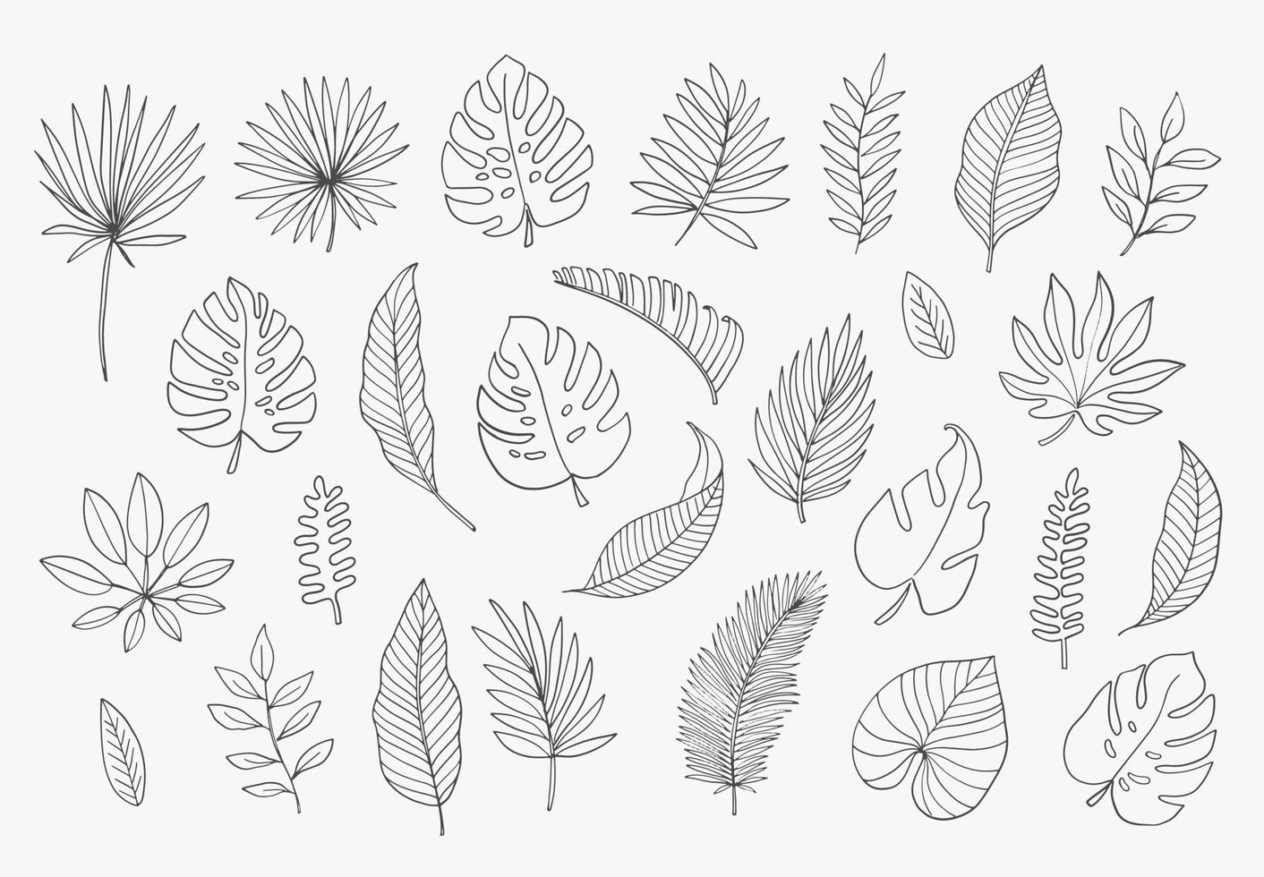 Tropical Leaves in doodle style. Vector hand drawn black line design elements. Exotic summer botanical illustrations. Monstera leaves, palm, banana leaf.