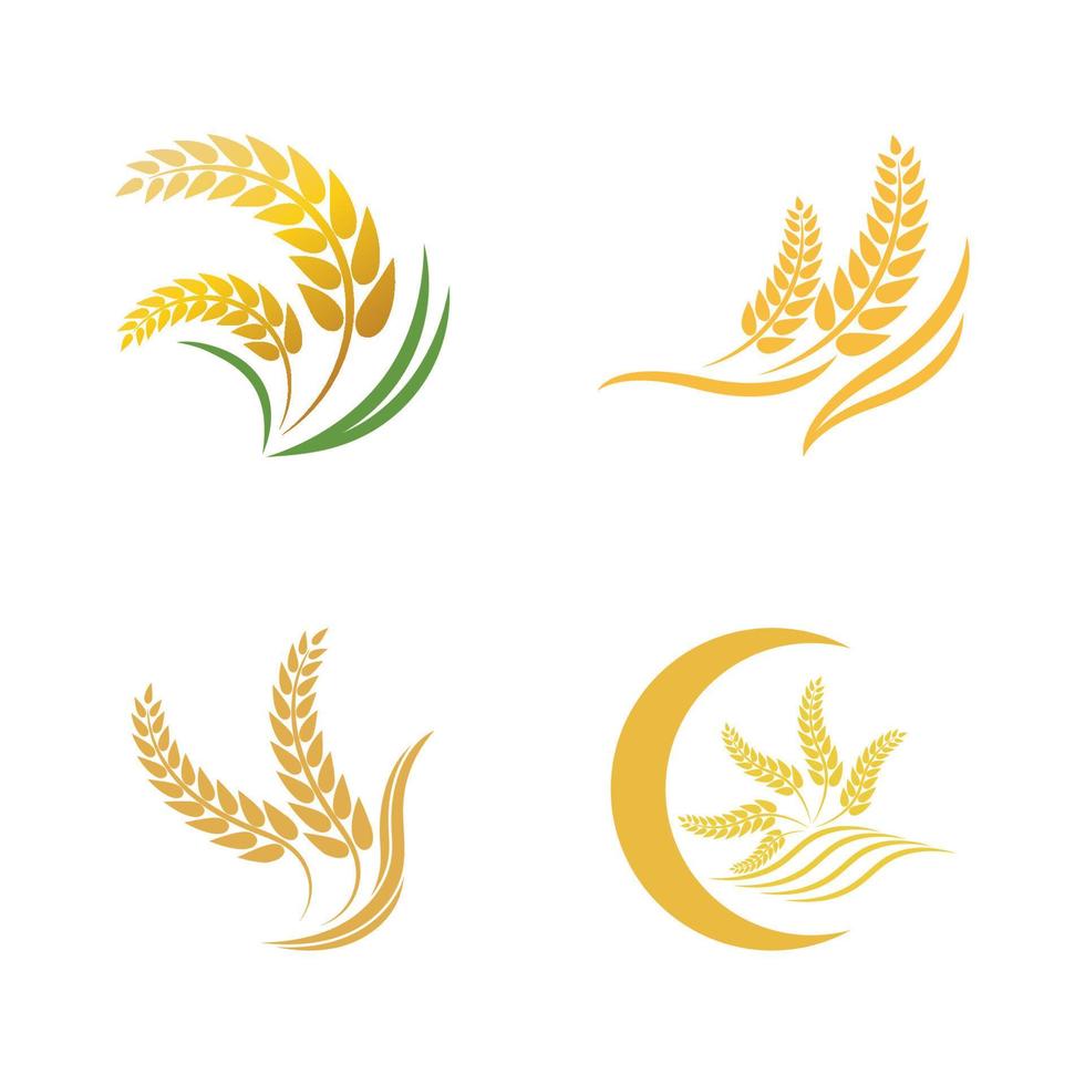 Wheat logo vector icon illustration