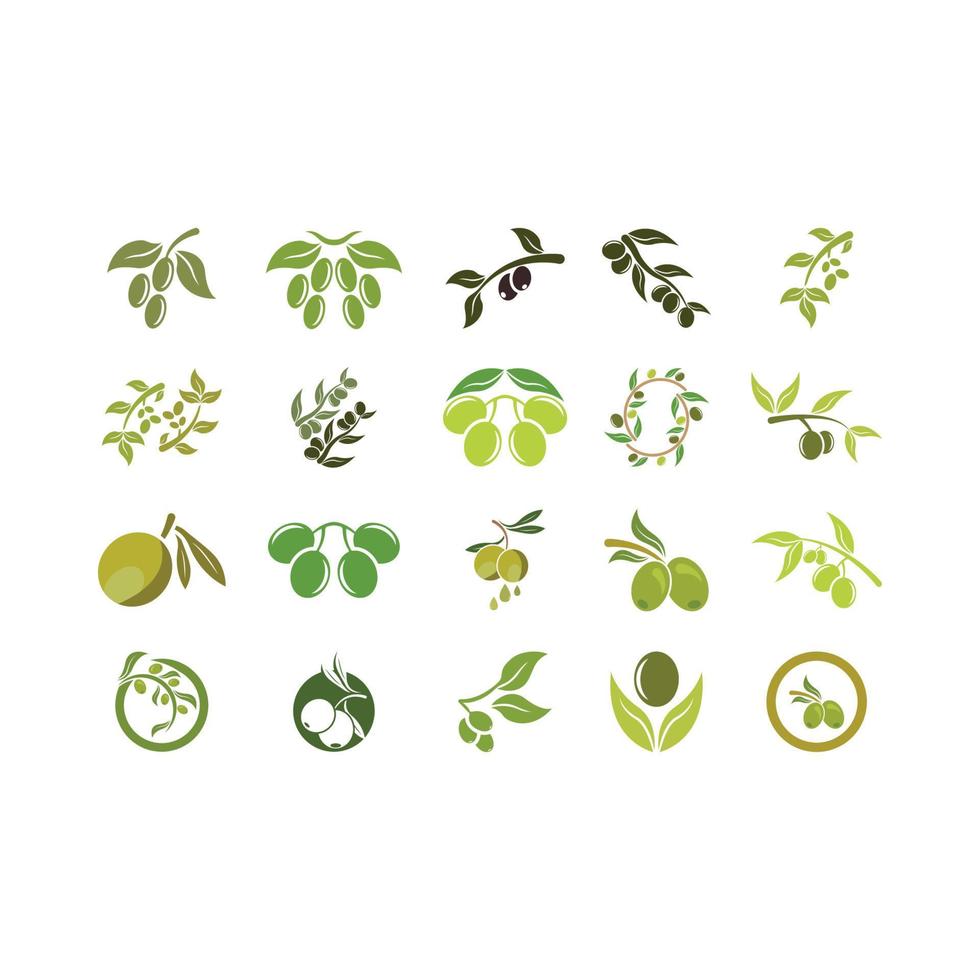 olive icon vector illustration