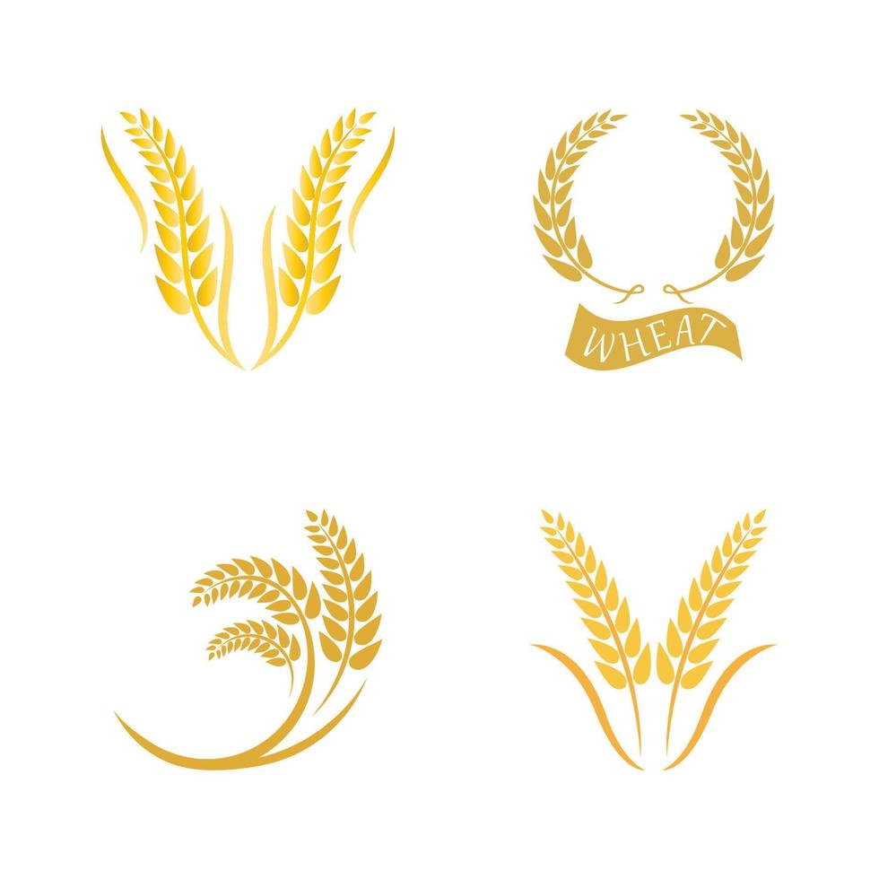 Wheat logo vector icon illustration