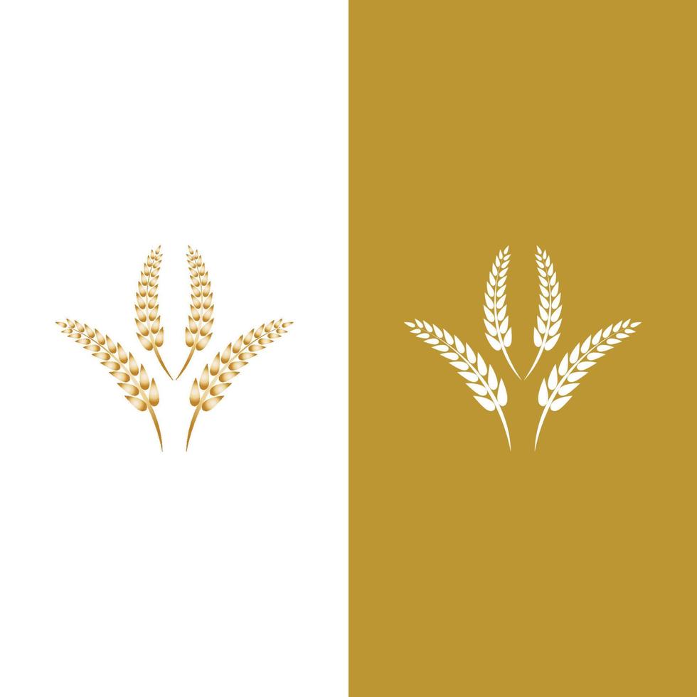 Wheat logo vector icon illustration